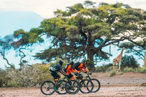 MTB