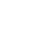 logo blanc WBS - copia